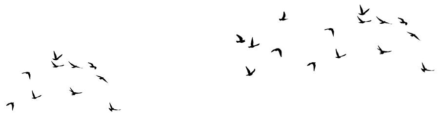 Oryx Stone - Natural Stone Specialist - Services